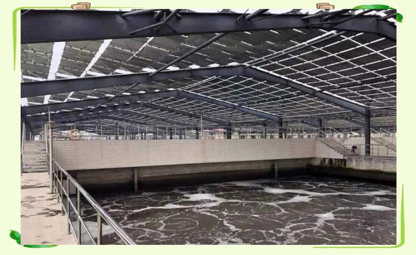知行合一 鑄就綠色能源夢，掌舵環保技術新未來